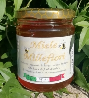 Miele Millefiori vasetto 250gr.